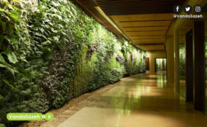 دیوارهای سبز، دیوارهای اکسیژن ساز شهری